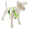 Lupine Reflective Roman Dog Harness 1" Wide 24"-38" Girth Green Diamond - Poudre Pet and Feed Supply